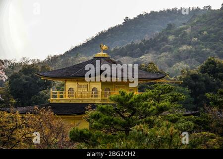 Dach des Goldenen Pavillons im buschigen Wald in Kyoto in Japan Stockfoto