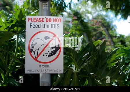 Ein Warnschild für Ibis, das sich im Park South Banks in Brisbane, Australien, befindet, nicht füttern Stockfoto