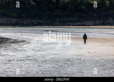 Fountainstown, Cork, Irland. April 2020. Ein älterer Mann macht einen eineineineineineineineineinmandischen Spaziergang am Strand von Fountainstown, County Cork, Irland. Unter Covid-19 Einschränkungen können Menschen nur innerhalb von 2 km von ihrem Zuhause trainieren. - Credit; David Creedon / Alamy Live News Stockfoto