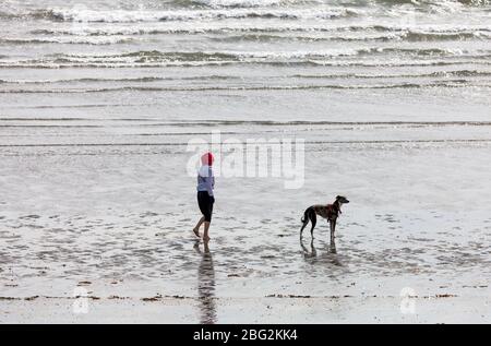 Fountainstown, Cork, Irland. April 2020. Eine Frau nimmt ihren Windhund mit auf einen Spaziergang am Strand von Fountainstown, County Cork, Irland. Unter Covid-19 Einschränkungen können Menschen nur innerhalb von 2 km von ihrem Zuhause trainieren. - Credit; David Creedon / Alamy Live News Stockfoto