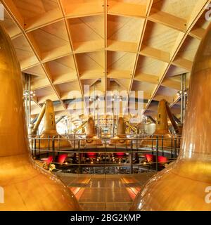 In der Brennerei. The Macallan Distillery and Visitor Experience, Aberlour, Großbritannien. Architekt: Rogers Stirk Harbour + Partners, 2018. Stockfoto