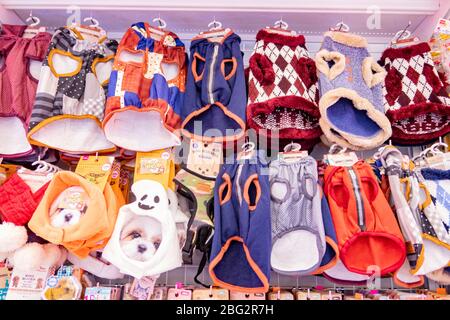 Viele Arten von Hundeleine und Hundegeschirr für Haustiere wurden im Daiso Shop auf dem Dorfmarkt Huahin, Thailand Februar 20,2020 verkauft Stockfoto