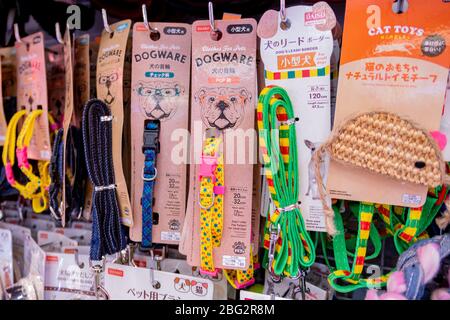 Viele Arten von Hundeleine und Hundegeschirr für Haustiere wurden im Daiso Shop auf dem Dorfmarkt Huahin, Thailand Februar 20,2020 verkauft Stockfoto