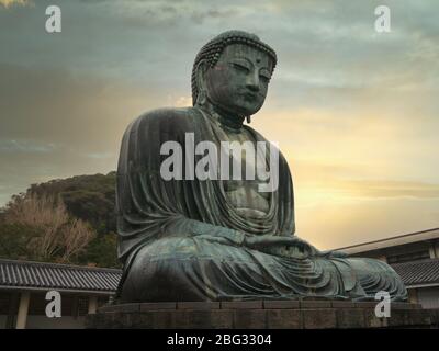 Die Bronzestatue des 'Großen Buddha' (Daibutsu) im buddhistischen Tempel Kotoku-in in der Stadt Kamakura in der Präfektur Kanagawa, Japan Stockfoto