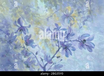 Magnolia Blumen in der Blüte blau Aquarell Hintergrund Stockfoto
