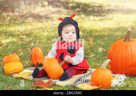 Asiatische chinesische Baby-Mädchen in Marienkäfer Kostüm sitzen im Herbst Park im Freien. Lustiges Kind in Kostüm auf dem Bauernhof mit Kürbissen feiern Halloween Stockfoto