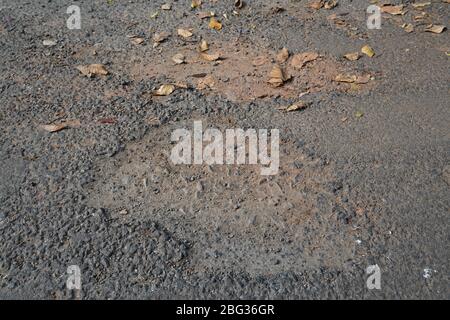 Beschädigte Asphaltpflasterstraße mit Schlaglöchern im ländlichen Raum. Trockene braune Blätter sind vorhanden. Stockfoto