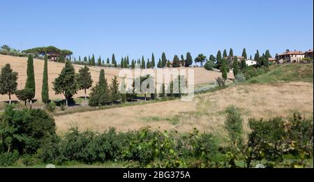 Die Landschaft in der Nähe von Montepulciano (Toskana, Italien). La Campagne aux Umgebung de Montepulciano (Toskana - Italie). Stockfoto