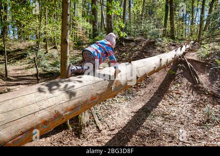 Rückansicht des 4-jährigen kaukasischen Kindes, das über den Baumstamm des gefallenen Baumes in einem hellen und sonnigen Frühlingswald am Schmausenbuck kriecht Stockfoto