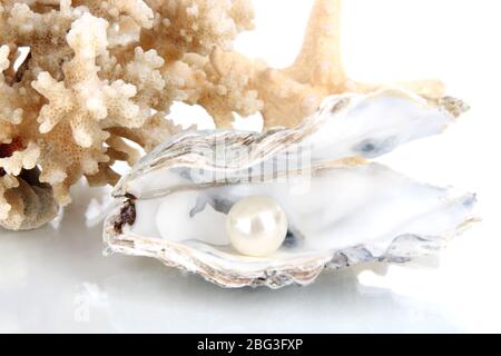 Offene Auster mit Perle isoliert auf weiß Stockfoto