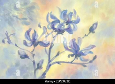Magnolia Blüten in Blüte gelb Aquarell Hintergrund Stockfoto