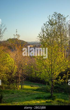 Ruhige Aussicht auf Bäume und Wohnungen im Süden von Glasgow von einem grünen Hügel im Queens Park Stockfoto