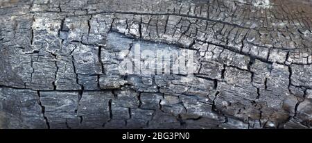 Eine Nahaufnahme aus schwarz grau verkohltem Holz oder Holzkohle Stockfoto