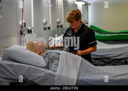 Ein Simulationstechniker nimmt an einer medizinischen Ausbildung in einer Station bei der offiziellen Eröffnung des neuen Dragon's Heart Hospital Teil, das im Principality Stadium in Cardiff zur Versorgung von Coronavirus-Patienten gebaut wurde. Stockfoto