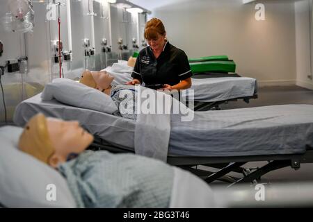 Ein Simulationstechniker nimmt an einer medizinischen Ausbildung in einer Station bei der offiziellen Eröffnung des neuen Dragon's Heart Hospital Teil, das im Principality Stadium in Cardiff zur Versorgung von Coronavirus-Patienten gebaut wurde. Stockfoto