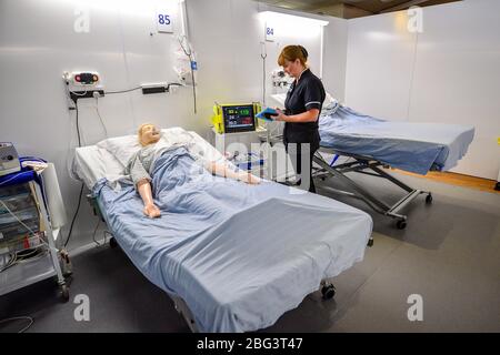 Ein Simulationstechniker nimmt an einer medizinischen Ausbildung in einer Station bei der offiziellen Eröffnung des neuen Dragon's Heart Hospital Teil, das im Principality Stadium in Cardiff zur Versorgung von Coronavirus-Patienten gebaut wurde. Stockfoto