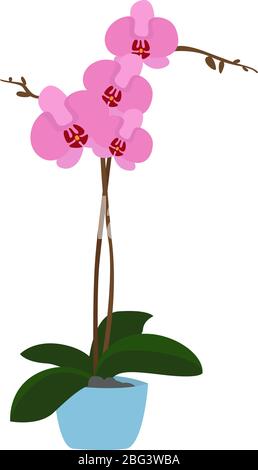 Orchideenblume, Illustration, Vektor auf weißem Hintergrund Stock Vektor