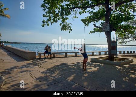 Junger Boxer in Ausbildung, Cienfuegos, Kuba Stockfoto