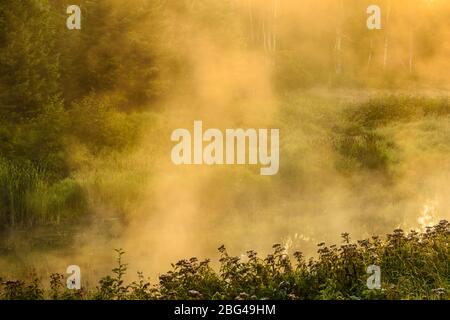 Aufsteigender Nebel auf Junction Creek bei Sonnenaufgang, Greater Sudbury, Ontario, Kanada Stockfoto