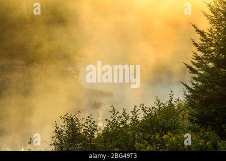 Aufsteigender Nebel auf Junction Creek bei Sonnenaufgang, Greater Sudbury, Ontario, Kanada Stockfoto