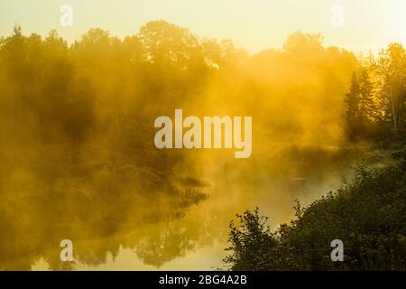 Aufsteigender Nebel auf Junction Creek bei Sonnenaufgang, Greater Sudbury, Ontario, Kanada Stockfoto