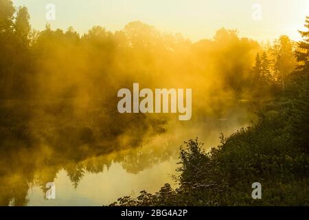 Aufsteigender Nebel auf Junction Creek bei Sonnenaufgang, Greater Sudbury, Ontario, Kanada Stockfoto