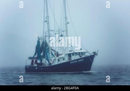 Ein Garnelenboot fährt an einem nebligen Tag nach Hause, 8. Februar 2017, in Bayou La Batre, Alabama. Stockfoto