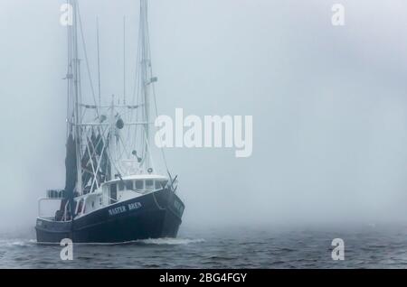 Ein Garnelenboot fährt an einem nebligen Tag nach Hause, 8. Februar 2017, in Bayou La Batre, Alabama. Stockfoto