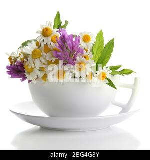 Schöne Wildblumen und Minze in Tasse, isoliert auf weiß Stockfoto