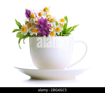 Schöne Wildblumen und Minze in Tasse, isoliert auf weiß Stockfoto