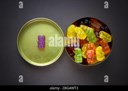 Ein lila Gummibärchen liegt auf einem Deckel einer Bonbonbox aus Metall, abgesehen von der Gruppe anderer Bären in der Schachtel. Diskriminierungskonzept. Stockfoto