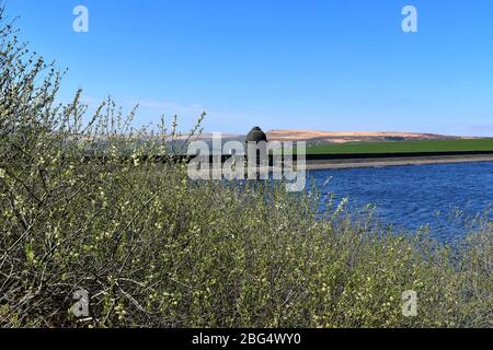 Ringstone Edge Reservoir mit Blick auf den Baitings Dam, Great Manshead Hill und Flints Moor. Stockfoto