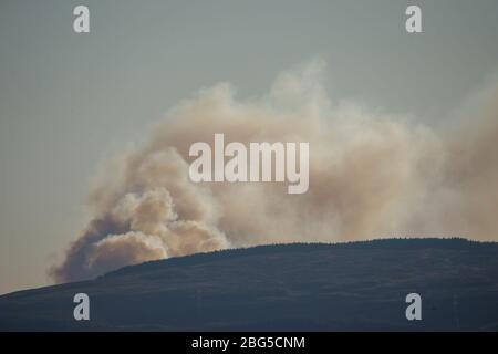 Lennoxtown, Großbritannien. April 2020. Im Bild: Riesige Rauchwolken bilden ein gewaltiges Waldfeuer, das wie außer Kontrolle scheint und über den Kilpatrick-Hügeln in Glasgow brennt. Quelle: Colin Fisher/Alamy Live News Stockfoto