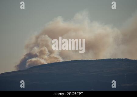 Lennoxtown, Großbritannien. April 2020. Im Bild: Riesige Rauchwolken bilden ein gewaltiges Waldfeuer, das wie außer Kontrolle scheint und über den Kilpatrick-Hügeln in Glasgow brennt. Quelle: Colin Fisher/Alamy Live News Stockfoto