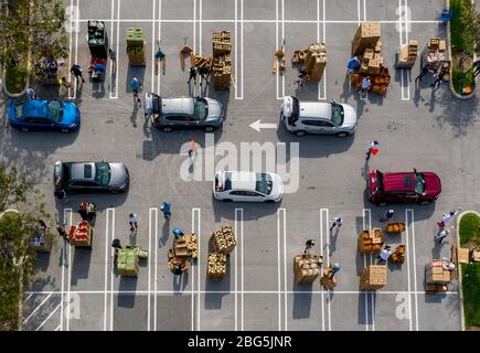 West Palm Beach, Florida, USA. April 2020. Die Autos stehen in einem Drive-up-Lebensmittelverteilungszentrum auf dem Parkplatz der Palm Beach Outlets. Die Menschen erhalten eine Woche Versorgung mit Eiweiß, frischen Produkten, Eiern, Milch und anderen wichtigen Gütern. Die Spenden sind auf 800 Autos auf einer First come first serve Basis jeden Montag begrenzt. Palm Beach Outlets hat sich mit der Ernährung von Süd-Florida zusammengetan, um denjenigen zu helfen, die während der Coronavirus-Pandemie kämpfen. Kredit: Gregg Lovett/ZUMA Wire/Alamy Live News Stockfoto