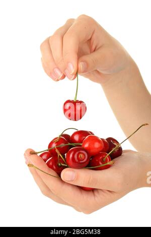 Kirschbeeren in den Händen auf weiß isoliert Stockfoto