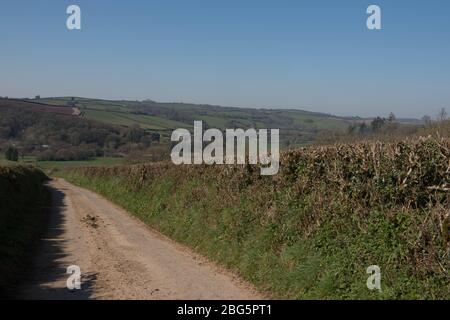 Hohe Seite grasbewachsenen Bank auf einem ländlichen Bauernhof Track mit einem Panoramablick auf die Landschaft und einem hellen blauen Himmel Hintergrund in Devon, England, Großbritannien Stockfoto