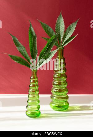 Glasflasche mit CBD-Öl, THC-Tinktur und Hanfblättern auf einem farbigen Hintergrund. Flach, minimalistisch. Kosmetik CBD-Öl. Medizinisches Cannabis Marihuana-Öl Stockfoto