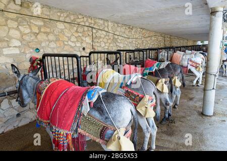 Donkey Taxis in Mijas Stadt in Malaga Spanien Stockfoto