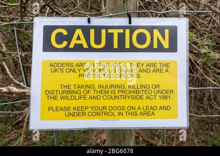 Warnschild warnt Besucher vor der Anwesenheit von Adderschlangen auf der Hounslow Heath, London, Großbritannien. Stockfoto