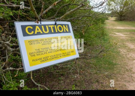 Warnschild warnt Besucher vor der Anwesenheit von Adderschlangen auf der Hounslow Heath, London, Großbritannien. Stockfoto