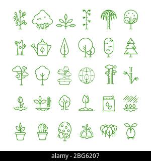 Pflanzen, Pflanzen, Samen und Bäume Linien-Vektor-Symbole. Sprout wachsende Symbole. Natur wachsen und Wachstum, Gartenarbeit und organische Illustration Stock Vektor