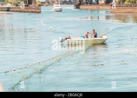 Männer mit Netzen fangen Fische Stockfoto