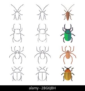 Bleistiftzeichnung, Linie und flache Käfer, Schabe und Spinne. Vektorgrafik Stock Vektor