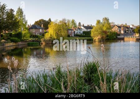 Sonnenuntergang über Lindfield Dorf Teich in der Nähe von Haywards Heath, West Sussex UK, an einem schönen, sonnigen Apriltag. Stockfoto