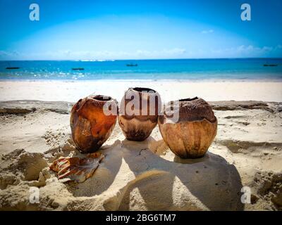 Drei Kokosnüsse im Sand an einem Strand in Kenia, Afrika. Im Hintergrund der Indische Ozean. Es ist ein tropisches Paradies. Stockfoto