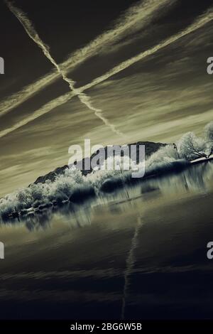 Ein Infrarotfoto eines Baumes, der sich im Wasser spiegelt. Stockfoto