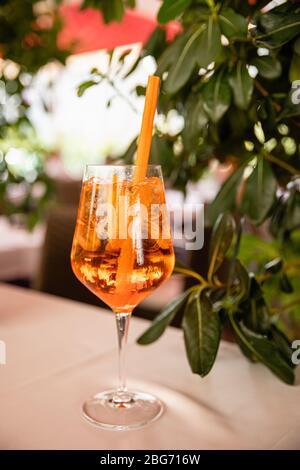 Orange aperol Spritz alkoholischen Sommergetränk in der Nähe von grünen Pflanze im Café, hellen Hintergrund Stockfoto