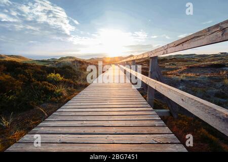 Verlassene Holzpromenade führt durch Küstendünen Vegetation zu einem glühenden bewölkten Sonnenuntergang Himmel in einer stimmungsvollen Abendlandschaft auf Amrum Stockfoto