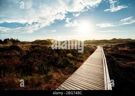 Holzboardweg führt durch Küstendünen in Richtung eines leuchtenden Sonnenuntergangs in einer stimmungsvollen Abendlandschaft auf Amrum, Nordfriesischen Inseln, Deutschland Stockfoto